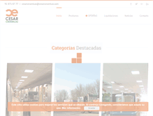 Tablet Screenshot of cesarceramicas.com